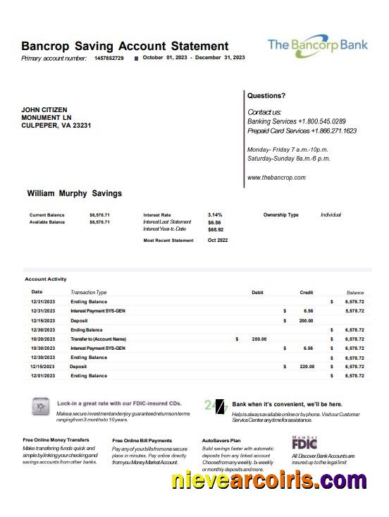 USA Bancorp bank statement Word and PDF